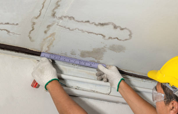 24/7 Emergency Flood Damage Cleanup experts in Roy, WA