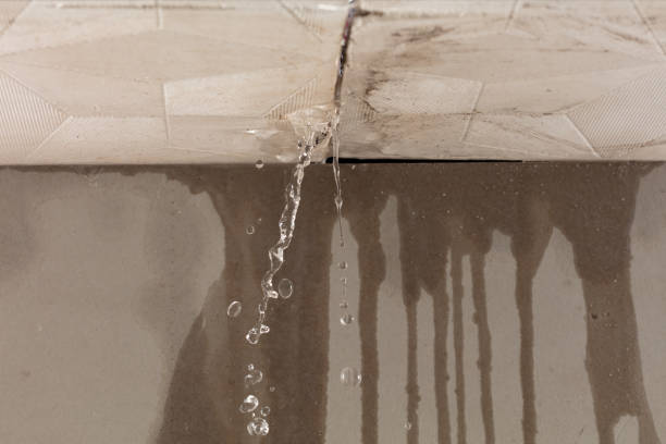 Professional Flood Damage Cleanup technician working in Roy, WA